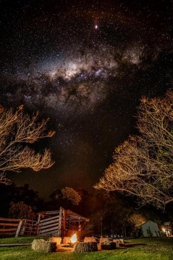 Amamoor Lodge Exteriér fotografie